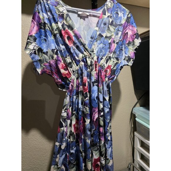CW Classics Vintage Floral V Neck Knee Length Dress Women's Large - Picture 1 of 5